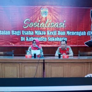 sosialisasi-permodalan-bagi-umkm-1533628301-7P