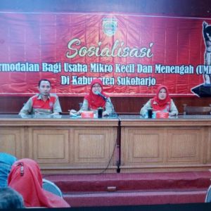 sosialisasi-permodalan-bagi-umkm-1533628301-SU